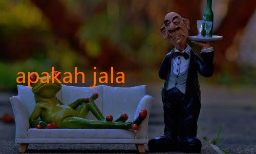 apakah jalalive gratis-Pelita Jaya Terus Bersinar, Final Semakin Dekat