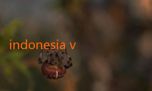 indonesia vs australia jalalive-Shin Tae-yong Bikin Klub Korea Jadi Pusat Perhatian Asia Tenggara