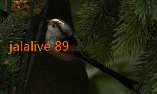 jalalive 89-Profil Lengkap Kapten Timnas Indonesia yang Jadi Inspirasi
